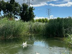 -永定河休闲森林公园