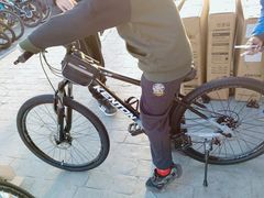 -道路口单车爱瓦士dahon大行