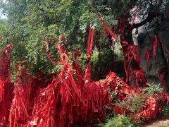 -泰山风景名胜区