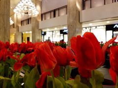 -Salon de The de Joel Robuchon(外滩18号店)