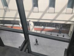 -首都医科大学附属北京天坛医院