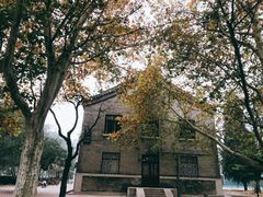 -中央民族大学