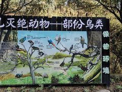 -贵州森林野生动物园