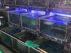 -众味海鲜大排档·活海鲜·潮汕味(南澳店)