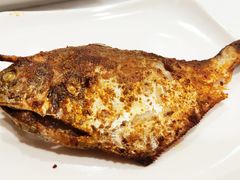 海昌鱼-庐州太太(CBD店)