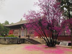 -永乐宫