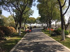 -昆山城市生态森林公园