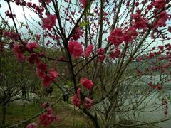 -南宁花花大世界景区