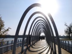 -大兴滨河森林公园