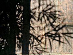 -四洞沟景区