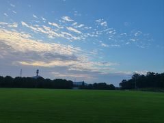 -羊山湖公园