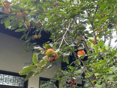 -膳和缘炒鸡店(南门路店)