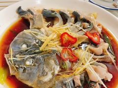 稀鳞硅鱼-煲来饱去冷水鱼