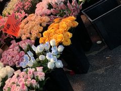 -循礼门鲜花花市(武汉循礼门店)