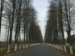 -上海怡沁园度假酒店
