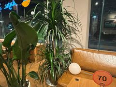 -Wagas沃歌斯(环贸店)