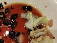 -紫光园·烤鸭·北京菜(劲松店)