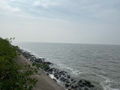 -贡湖湾湿地公园