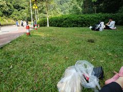 -火炉山森林公园