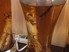 -长寿参鸡汤(朝韩风情街店)