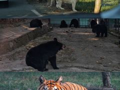 -乐和乐都主题乐园