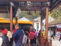 -普陀山风景名胜区-法雨禅寺