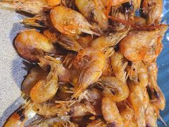 -千岛蚝高压锅生蚝·人参火锅(白云万达店)