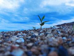 -蟠龙山长城景区