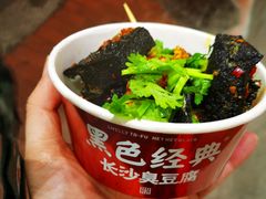 -黑色经典臭豆腐·湖南特产(坡子街店)
