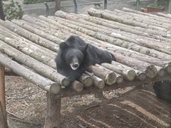 -泉州海丝野生动物世界