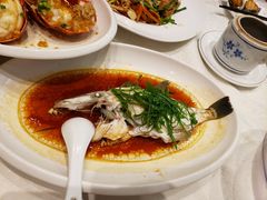 -大东海海鲜酒楼(渔人码头总店)