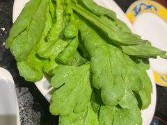 -南门涮肉(东单店)