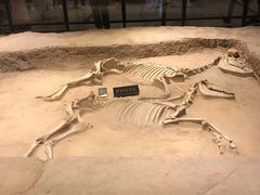 -洛阳周王城天子驾六博物馆