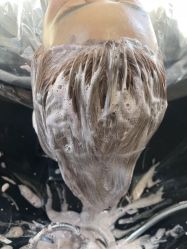 -工匠
