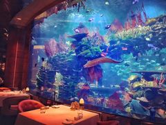 -迪拜帆船酒店海底餐厅