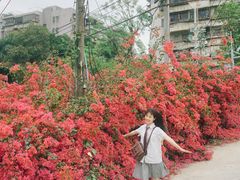 -坑口(地铁站)
