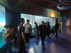 -海合安武汉极地海洋公园