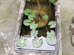 -不倒翁·徽天下名菜楼(马鞍山路店)