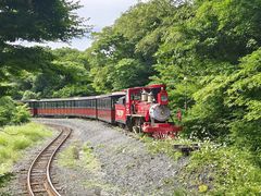 -济州森林小火车生态公园