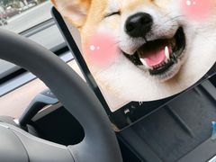 -TESLA 特斯拉(上海太古汇体验店)