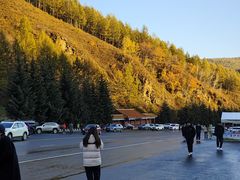 -塞罕坝国家级自然保护区