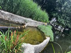 -成都市活水公园