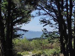 -大觉寺-停车场