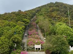 -梧桐山风景名胜区