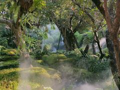 -Chom Cafe and Restaurant