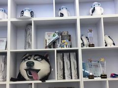 -Hopo Snow 城市滑雪空间(滨江宝龙城店)