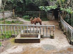 -福州动物园