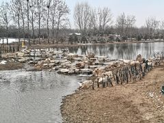 -东郊湿地公园