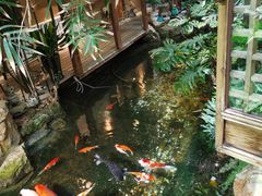 -聚缘堂·海鲜私房菜(松岭路店)