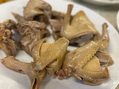-百利鸽王(紫薇路店)